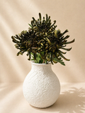 Deep Green Chrysanthemums