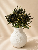 Deep Green Chrysanthemums