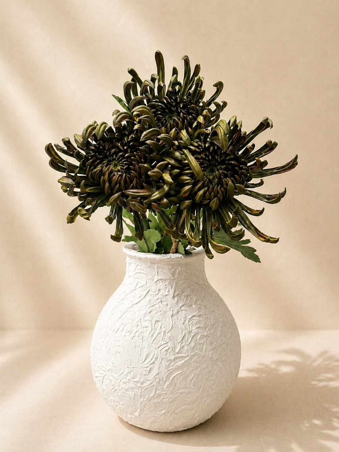 Deep Green Chrysanthemums