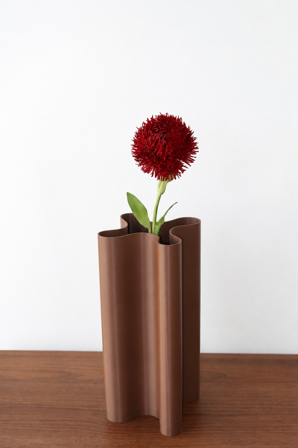 Red Trick Dianthus