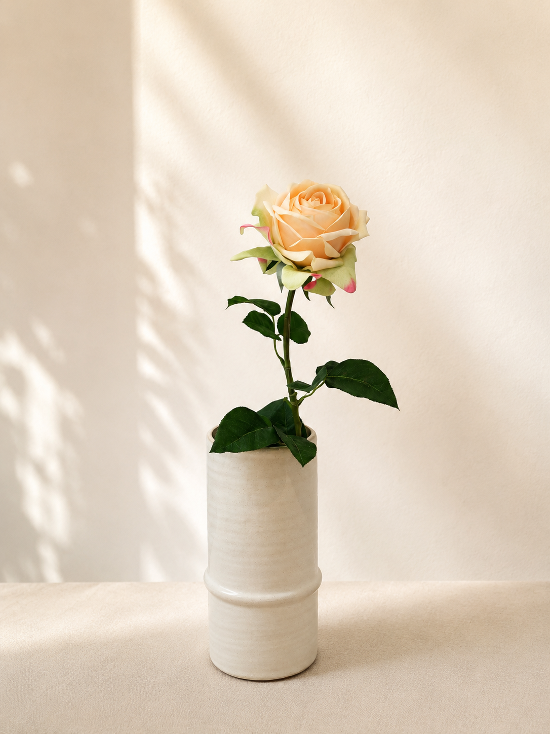 Champagne Rose