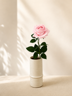 Pink Rose