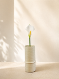 White Calla