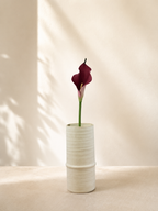 Dark Pink Calla