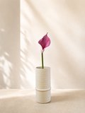 Light Pink Calla