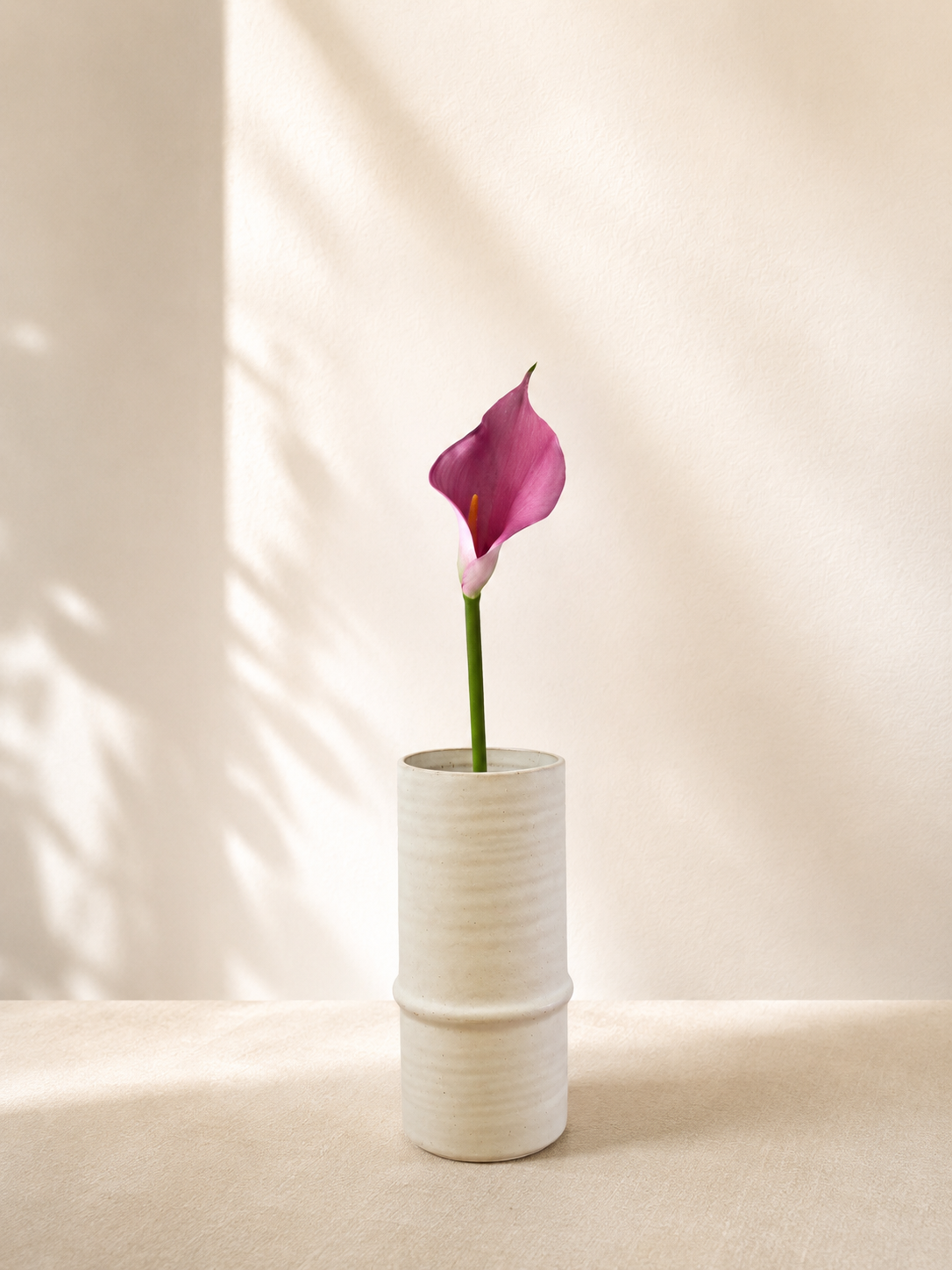 Light Pink Calla
