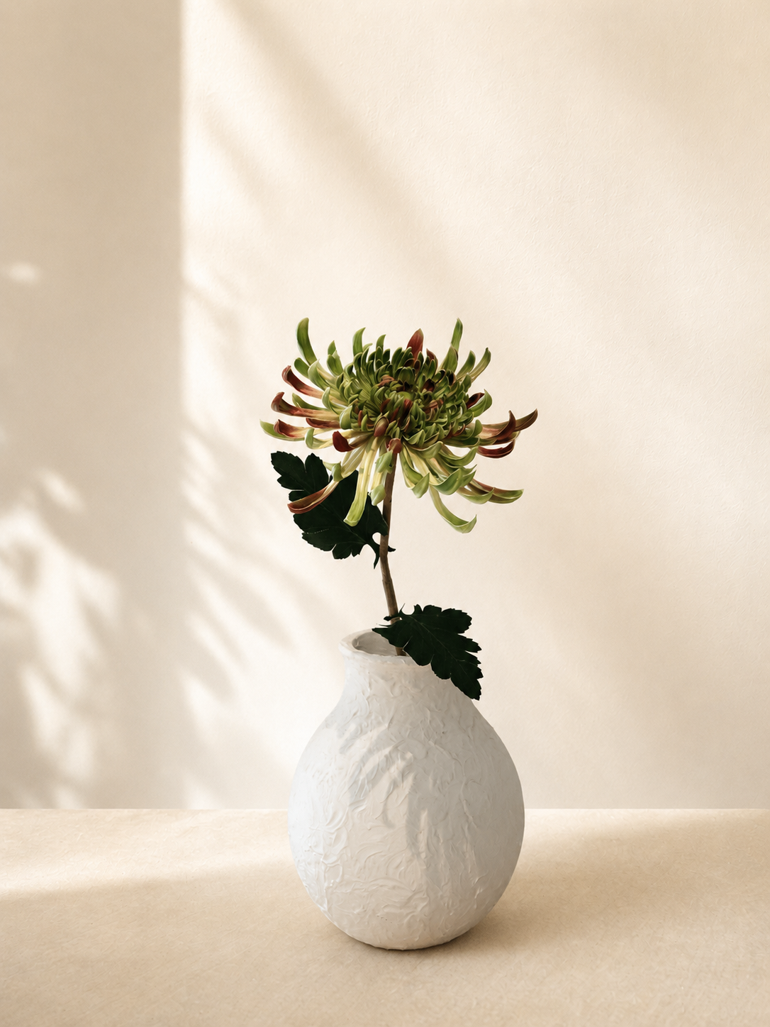Blush Green Chrysanthemum