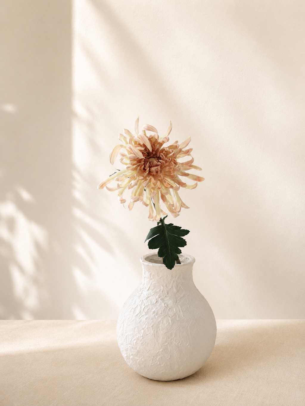 Light Coffee Chrysanthemum