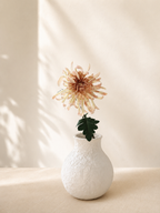 Light Coffee Chrysanthemum