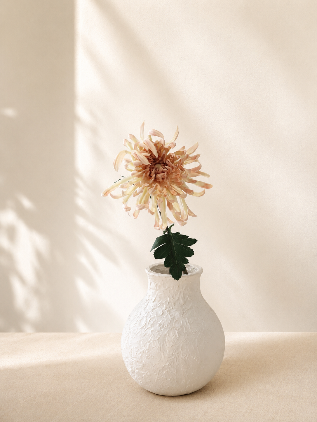 Light Coffee Chrysanthemum