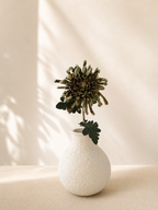 Deep Green Chrysanthemum