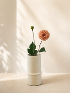 Light Coffee Dahlia