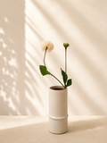 White Dahlia