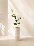 White Lily