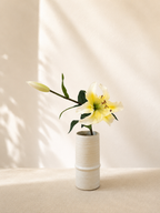Yellow Lily