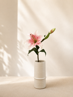 Pink Lily