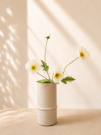 White Poppy