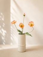 Apricot Blush Poppy