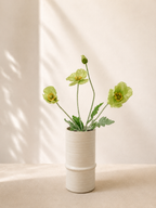 Green Poppy